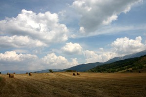 世界篮球青训课程内容国际比较与优化建议发布，篮球世界青年锦标赛