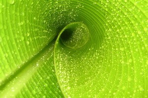 世界游泳接力队替补管理与换人规则第75版公布，游泳接力世界纪录
