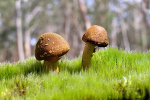 世界篮球友谊赛：国际对抗检验新战术有效性，世界篮球友谊赛赛程