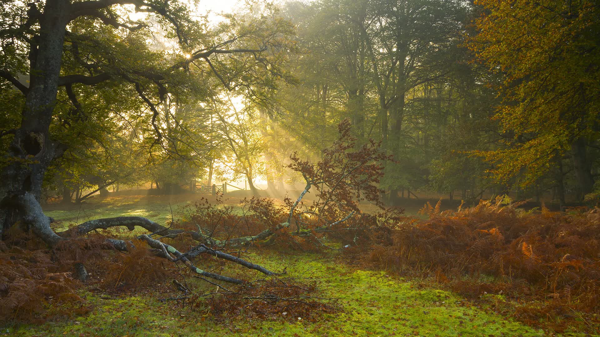 世界羽毛球超级赛：混双与男双并列成为赛事焦点场次，羽毛球世界混双第一